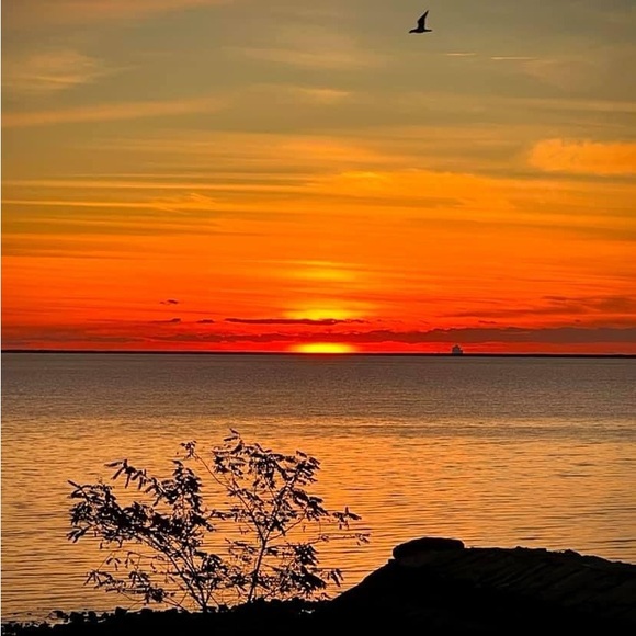 Meet your Posher, Cindy - Picture 1 of 1